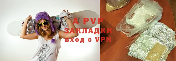 PSILOCYBIN Баксан