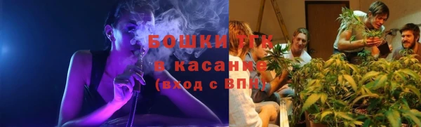 ПСИЛОЦИБИНОВЫЕ ГРИБЫ Балахна
