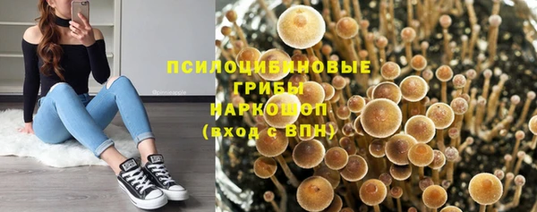 PSILOCYBIN Баксан
