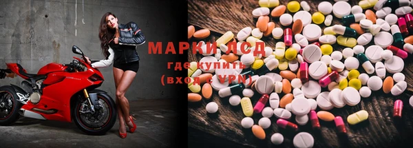 PSILOCYBIN Баксан